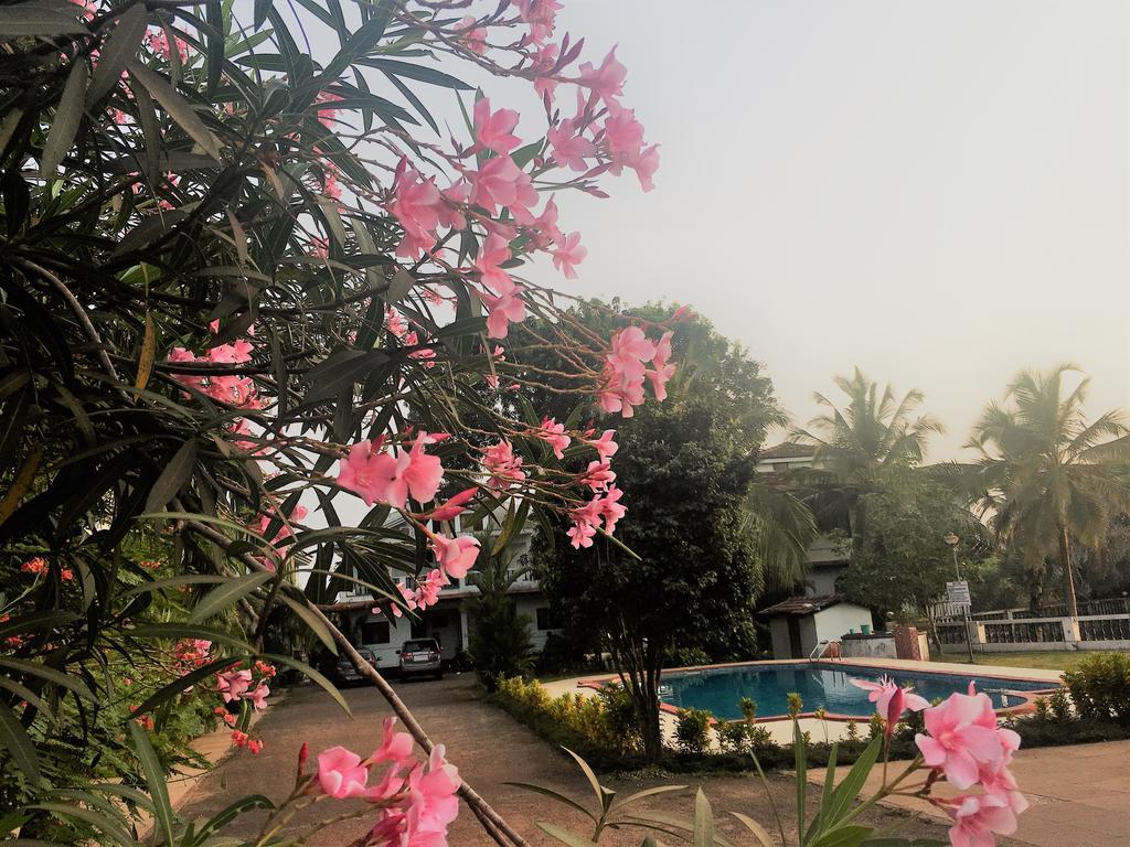 Gr Stays - Duplex 3Bhk Villa With Pool Arpora I Baga Beach 5 Mins 外观 照片
